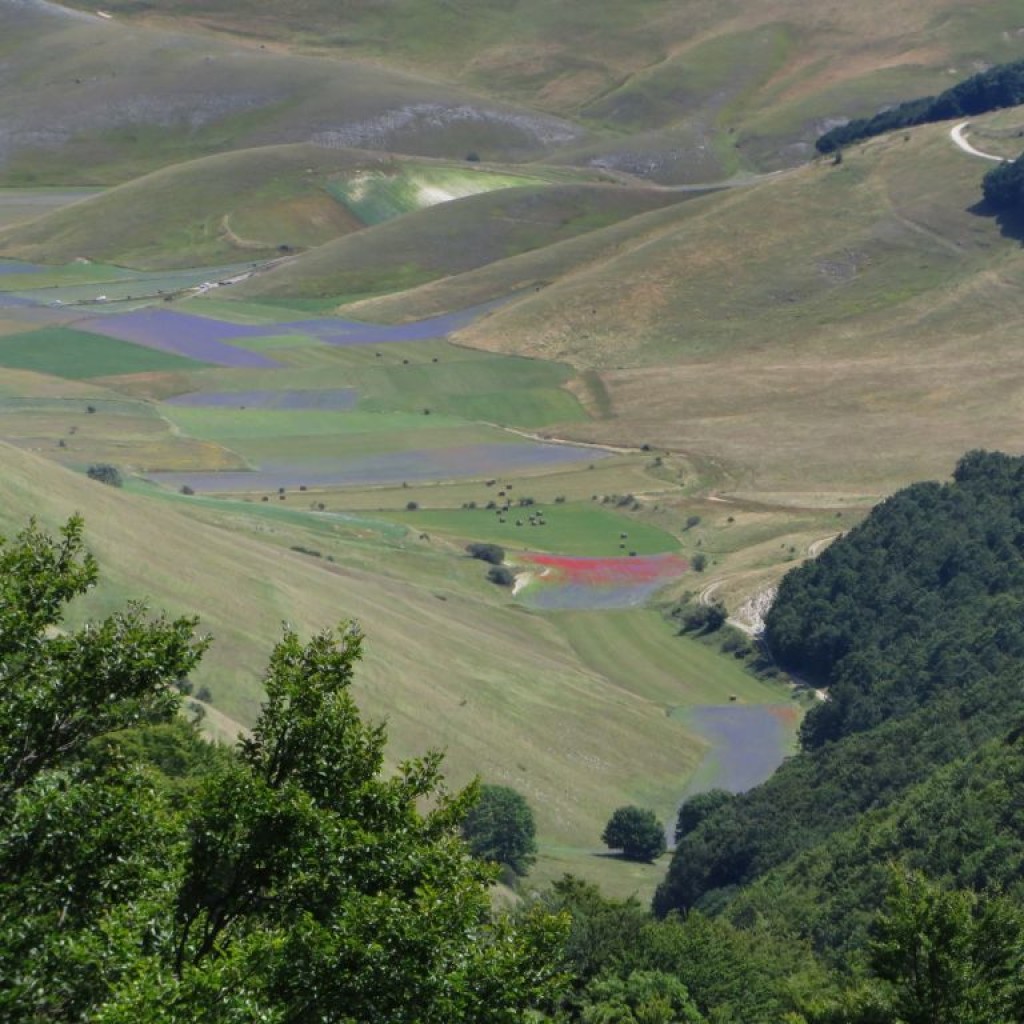 val canatra