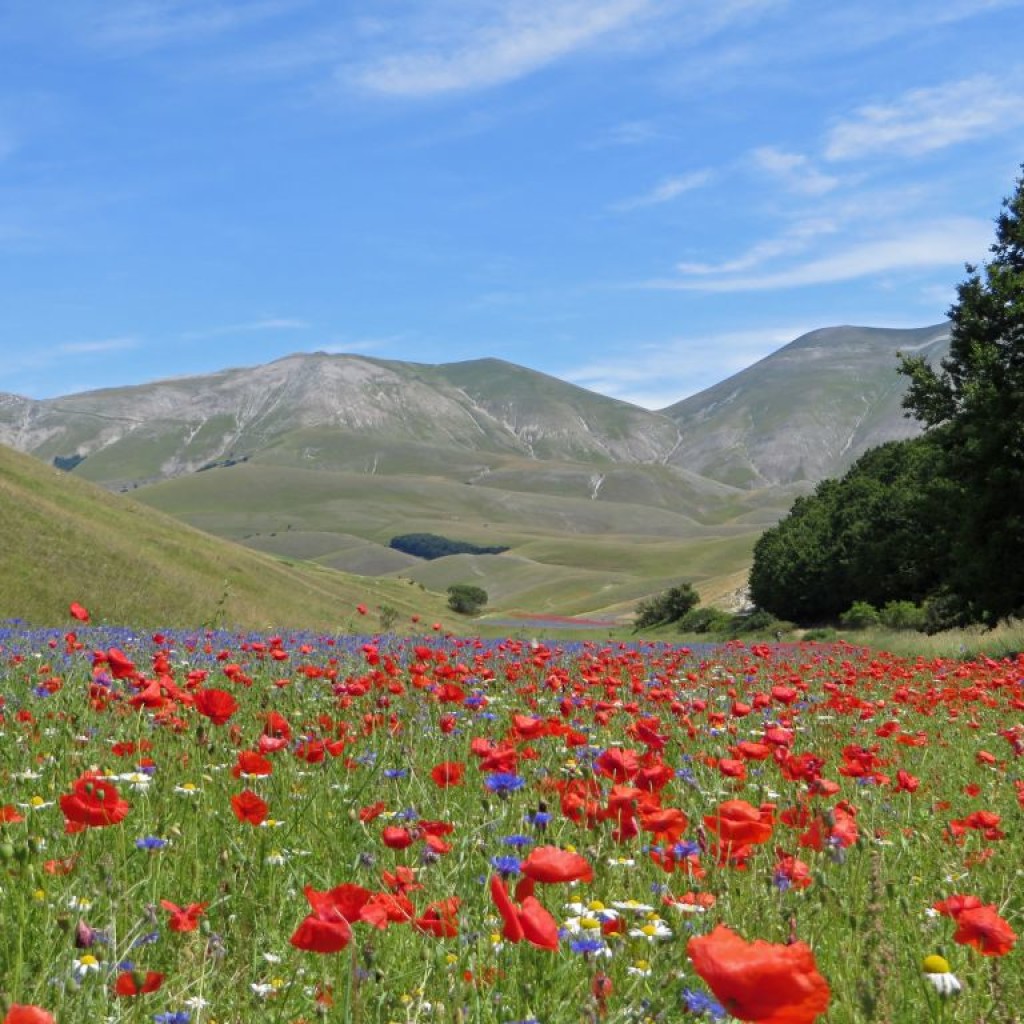 val canatra