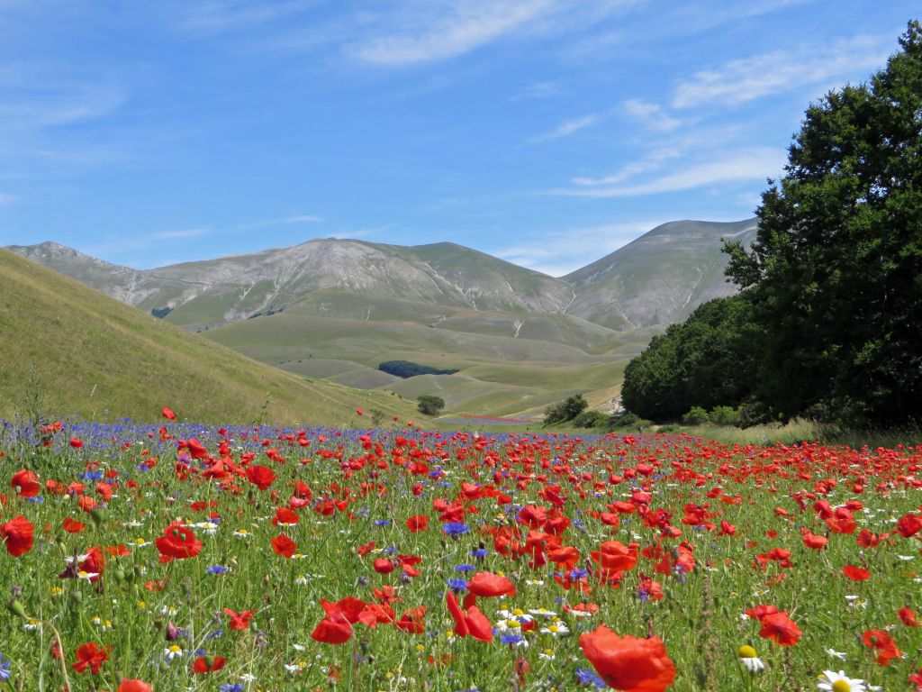 val canatra