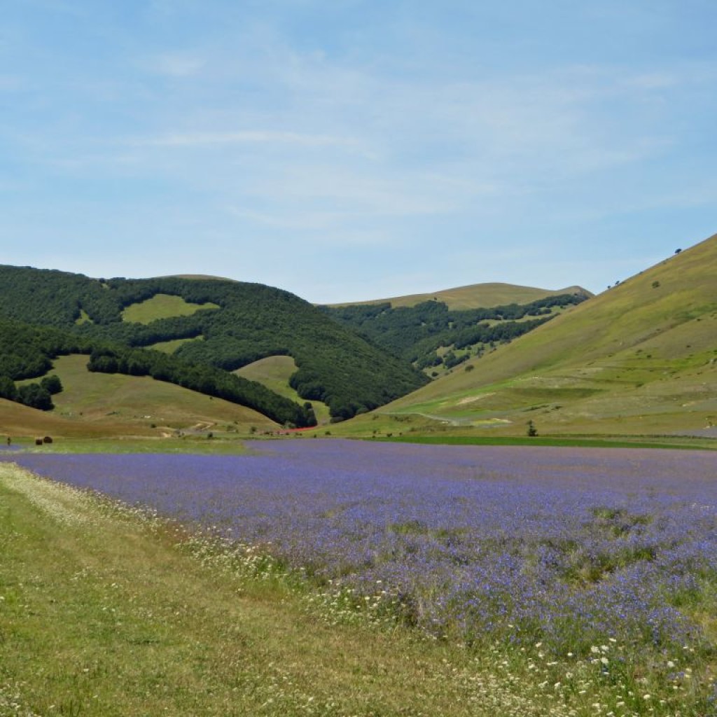 val canatra