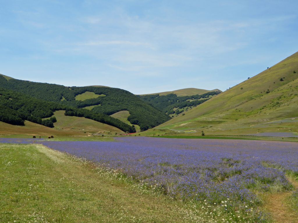 val canatra