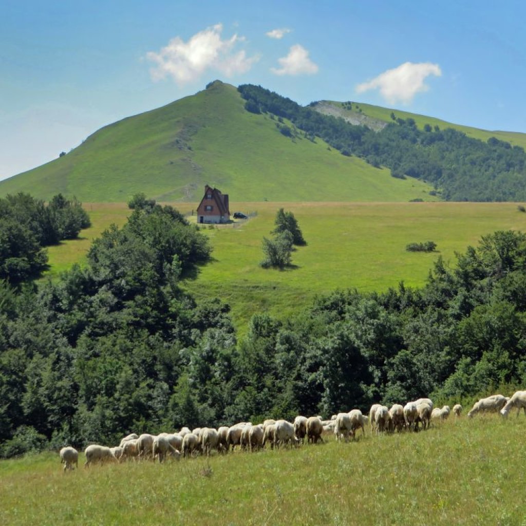 salita ai prati di ragnolo