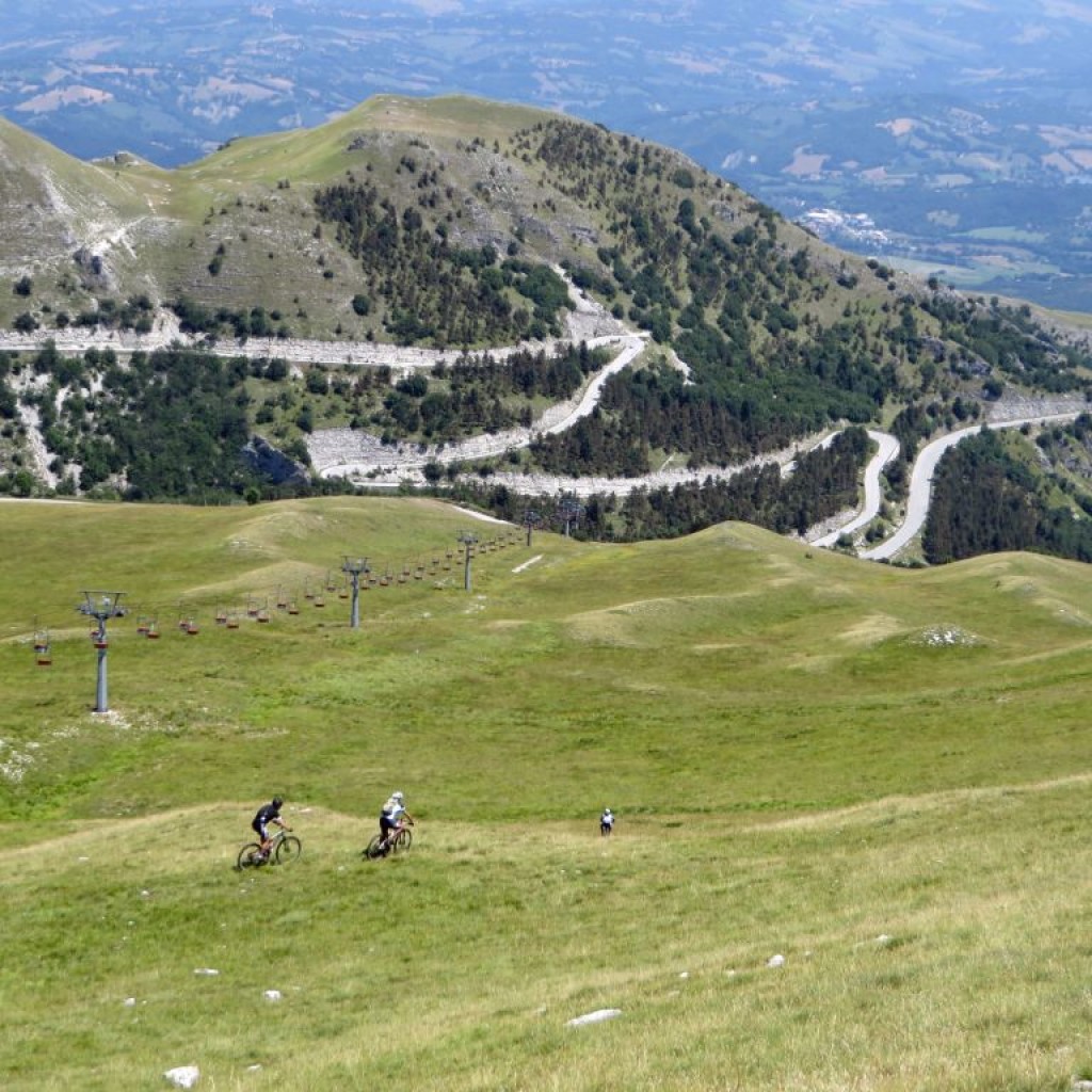 sassotetto