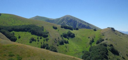 monte patino