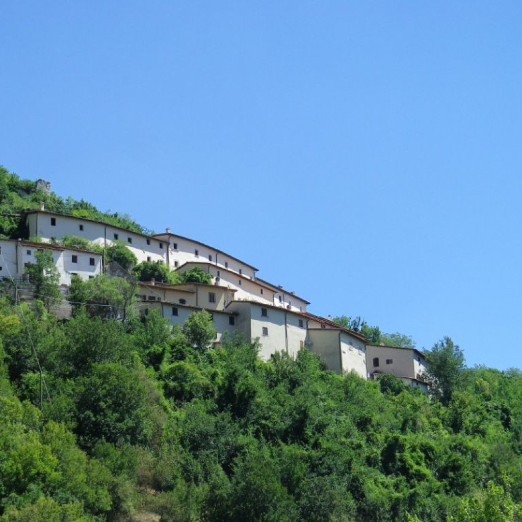 acquaro