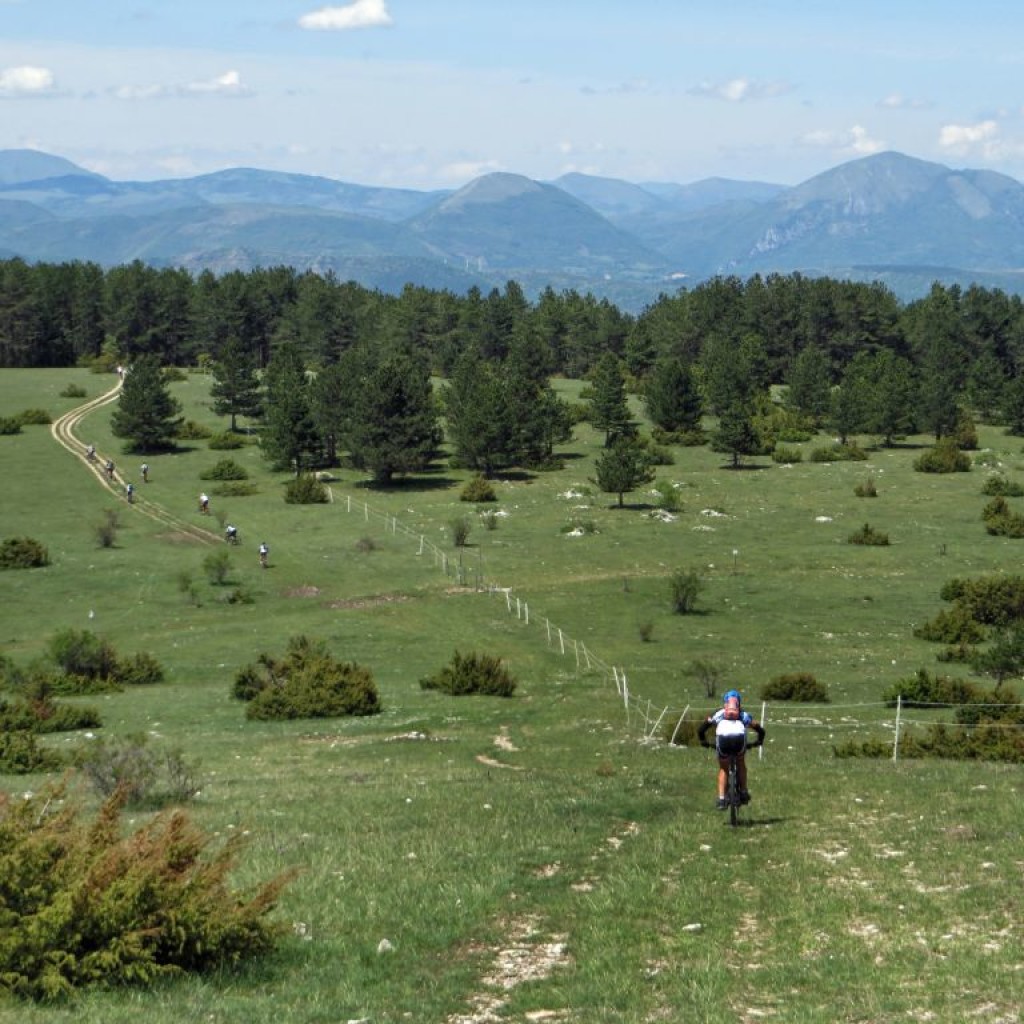 monte careschio