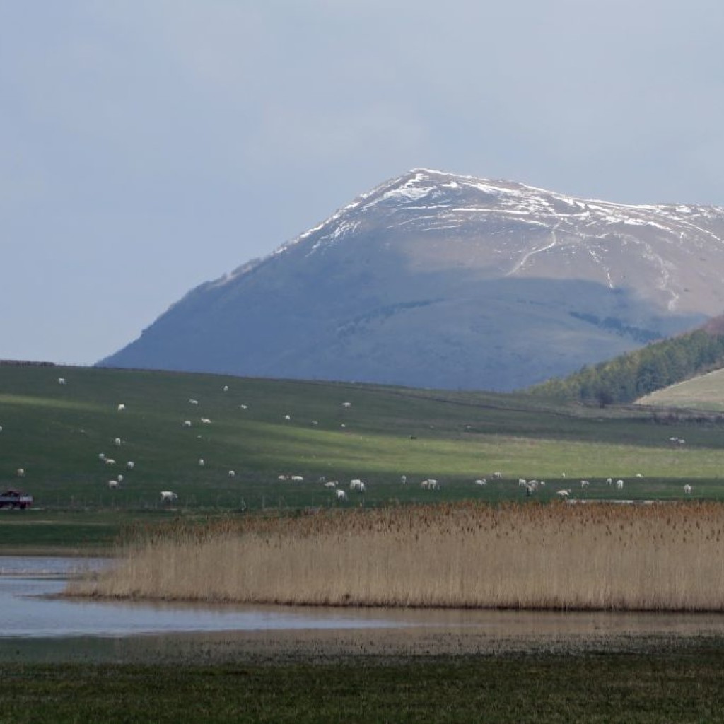 GELAGNA 26 03 2015 566