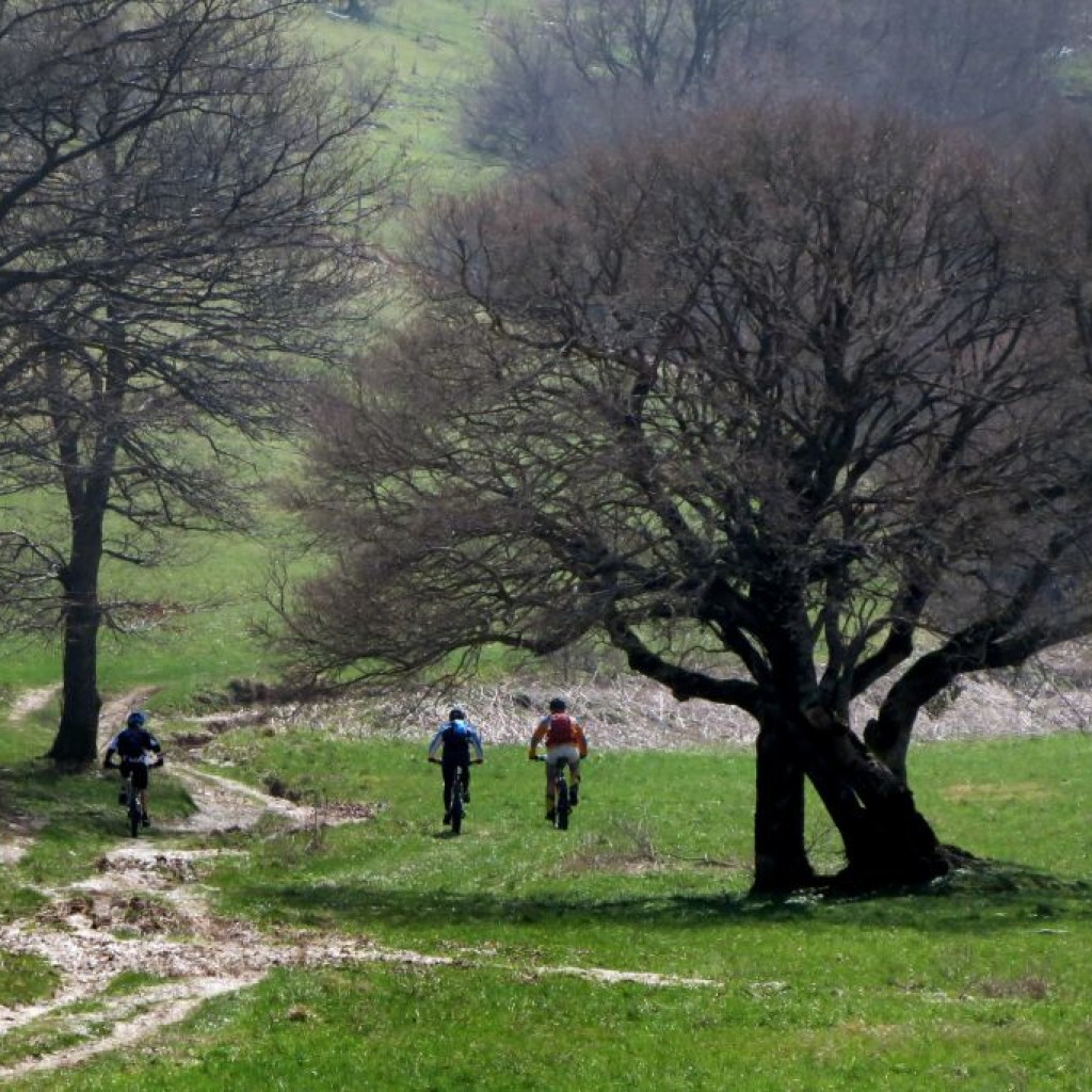 GELAGNA 26 03 2015 711