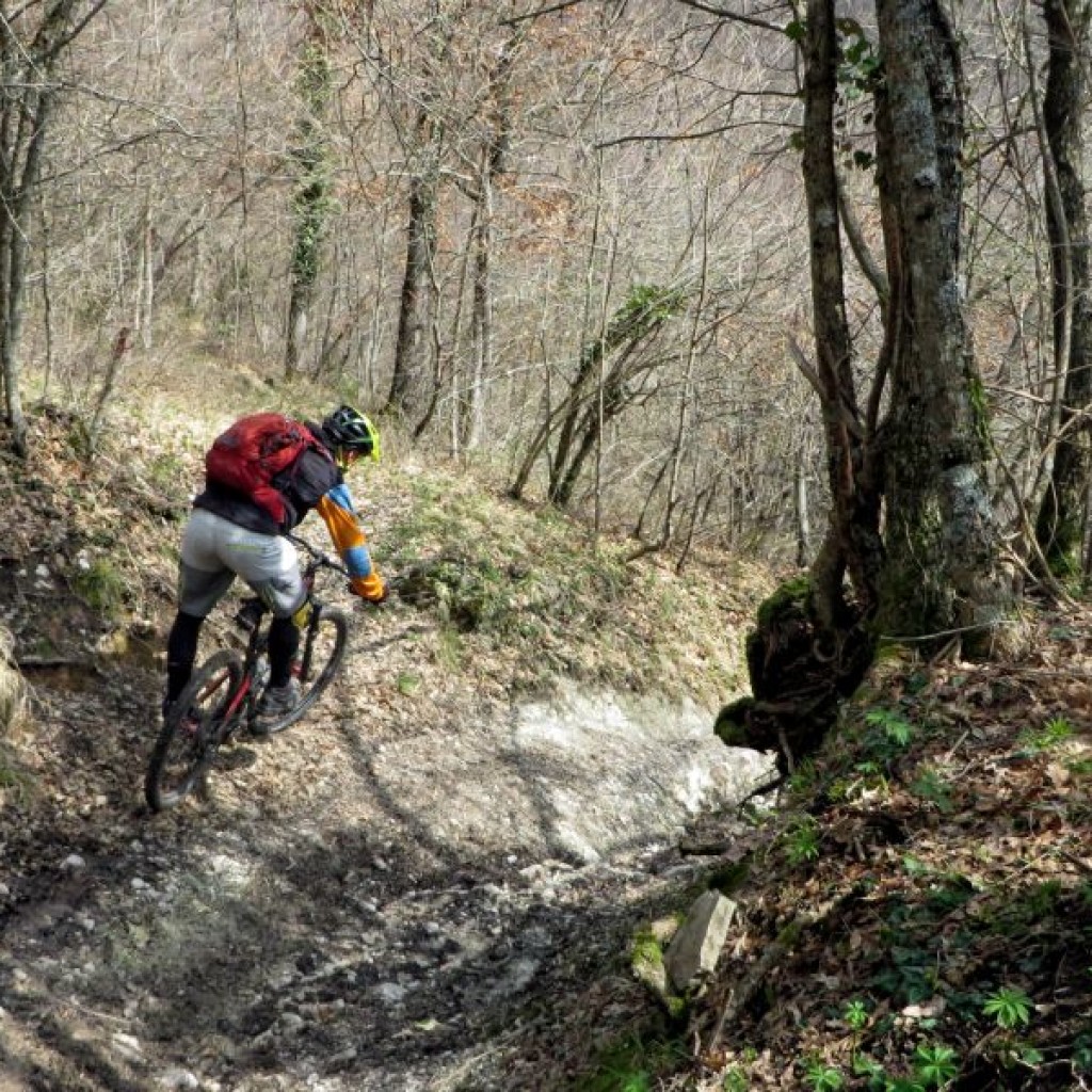 GELAGNA 26 03 2015 771