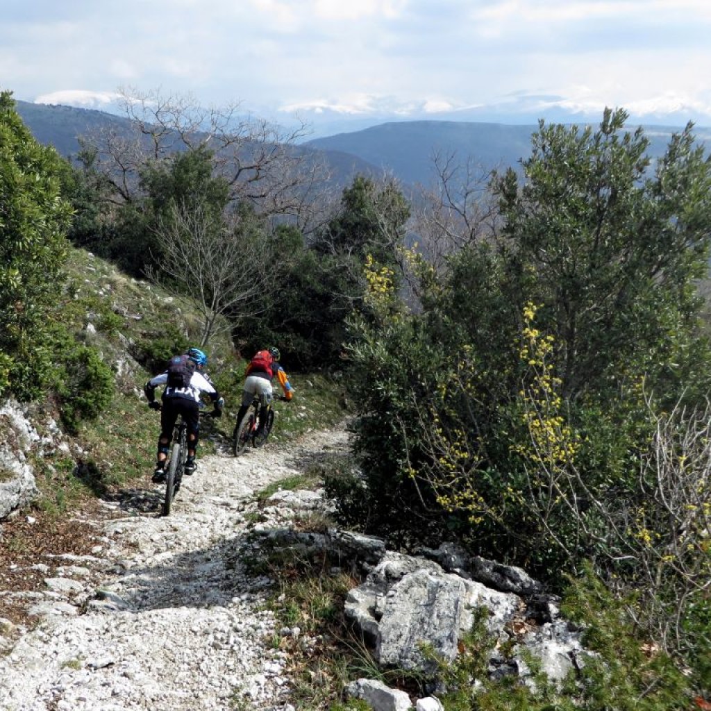 GELAGNA 26 03 2015 790