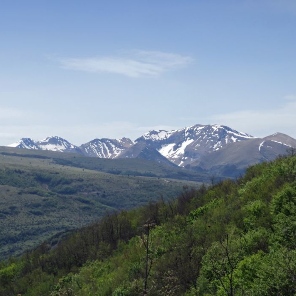 MONTE PETRELLA 16 04 2016 132
