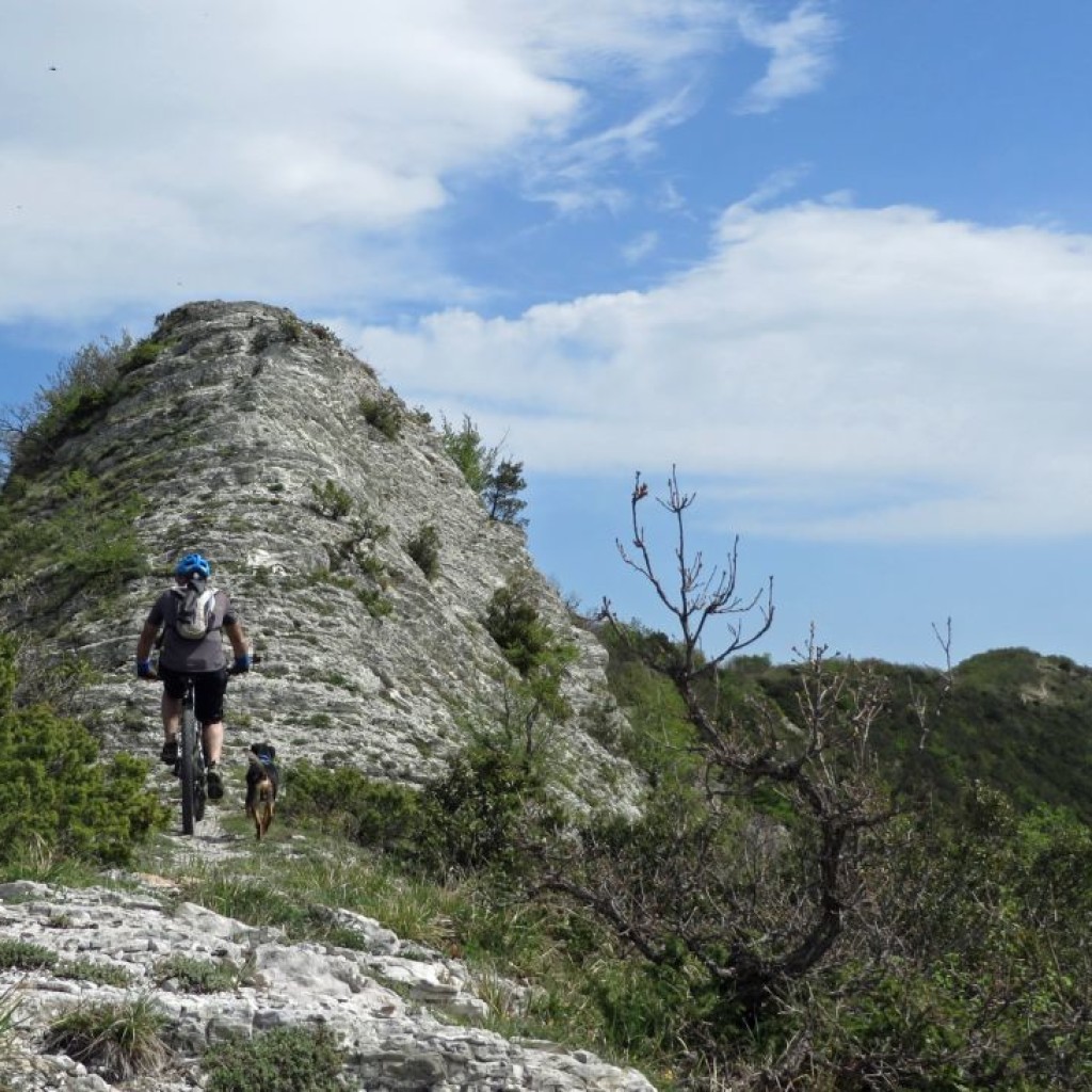 MONTE PETRELLA 16 04 2016 143