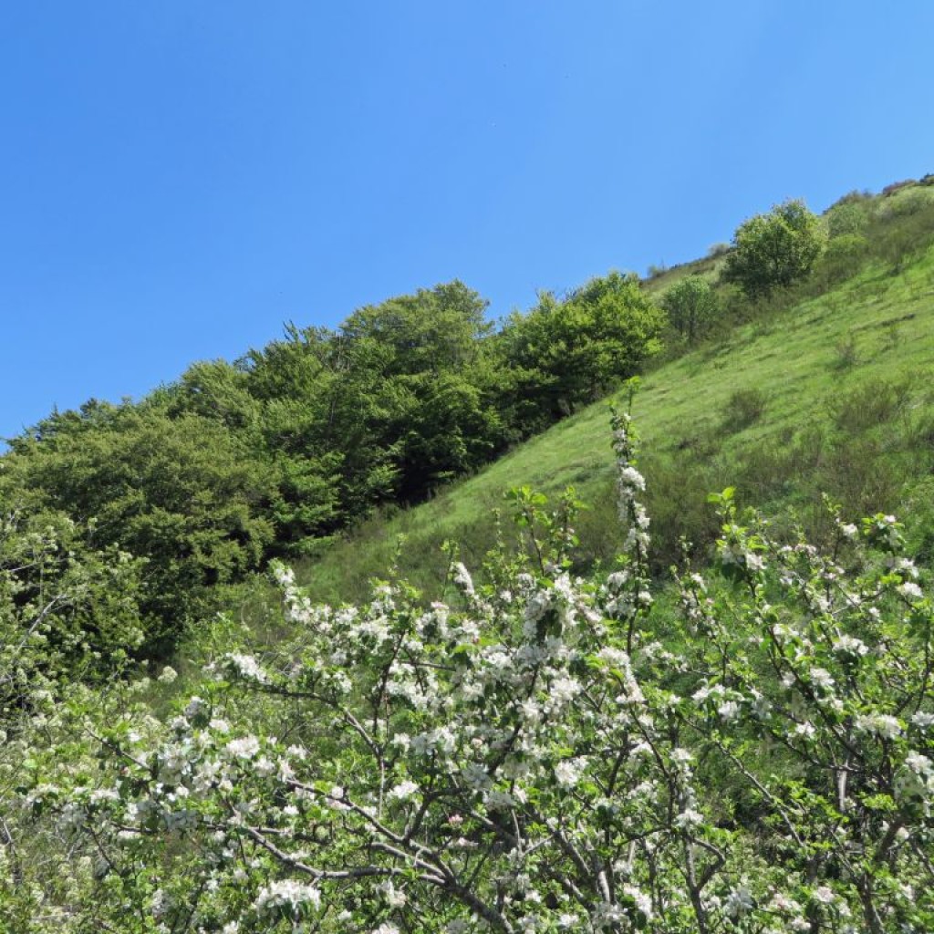 valle del torricchio