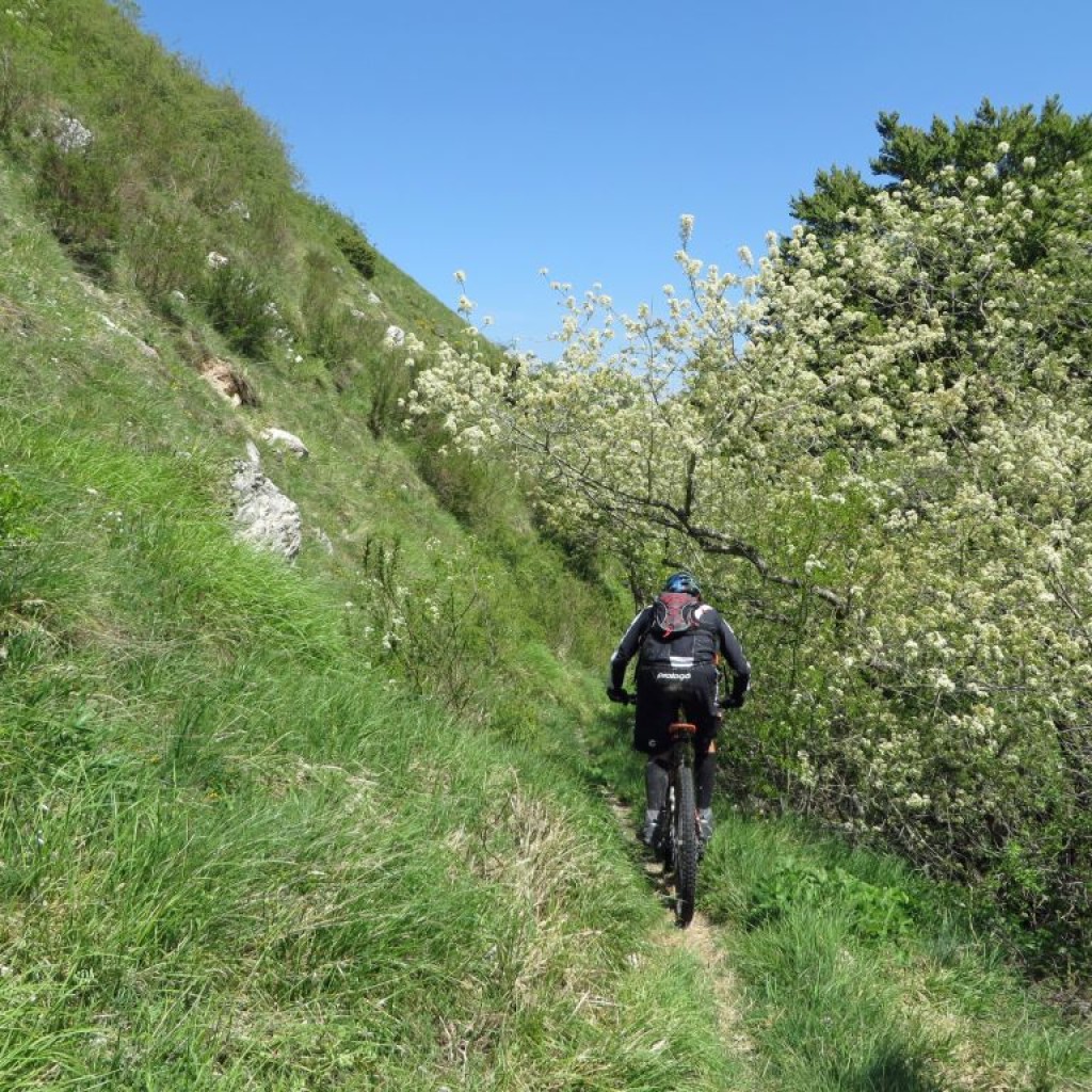 valle del torricchio