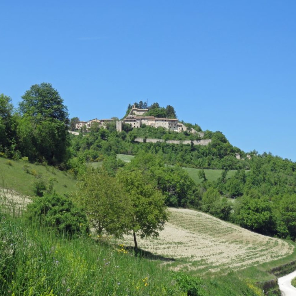 torricchio