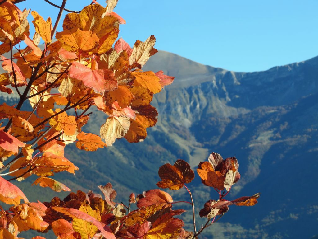 monte-lieto-22-10-2016-050