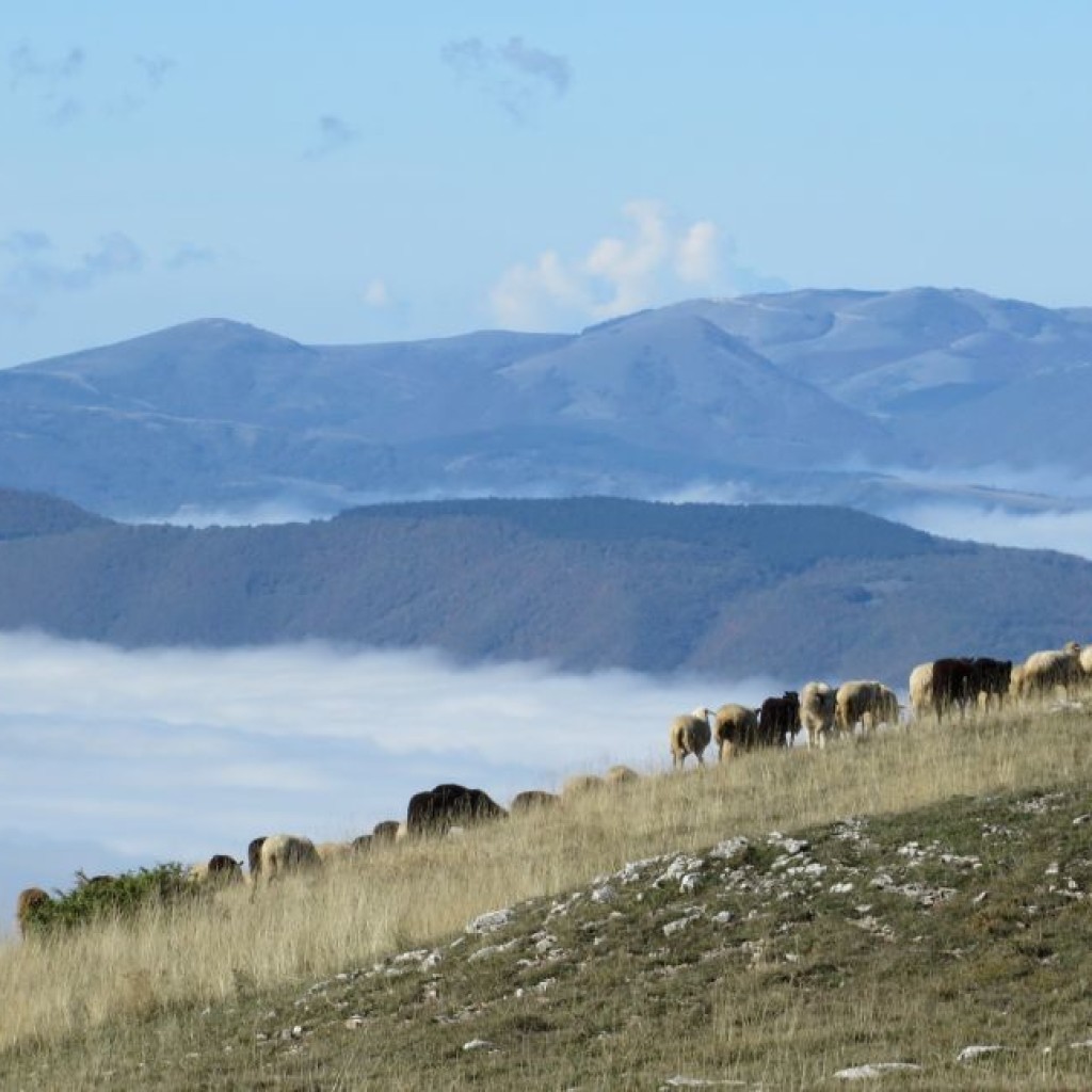 monte-lieto-22-10-2016-286