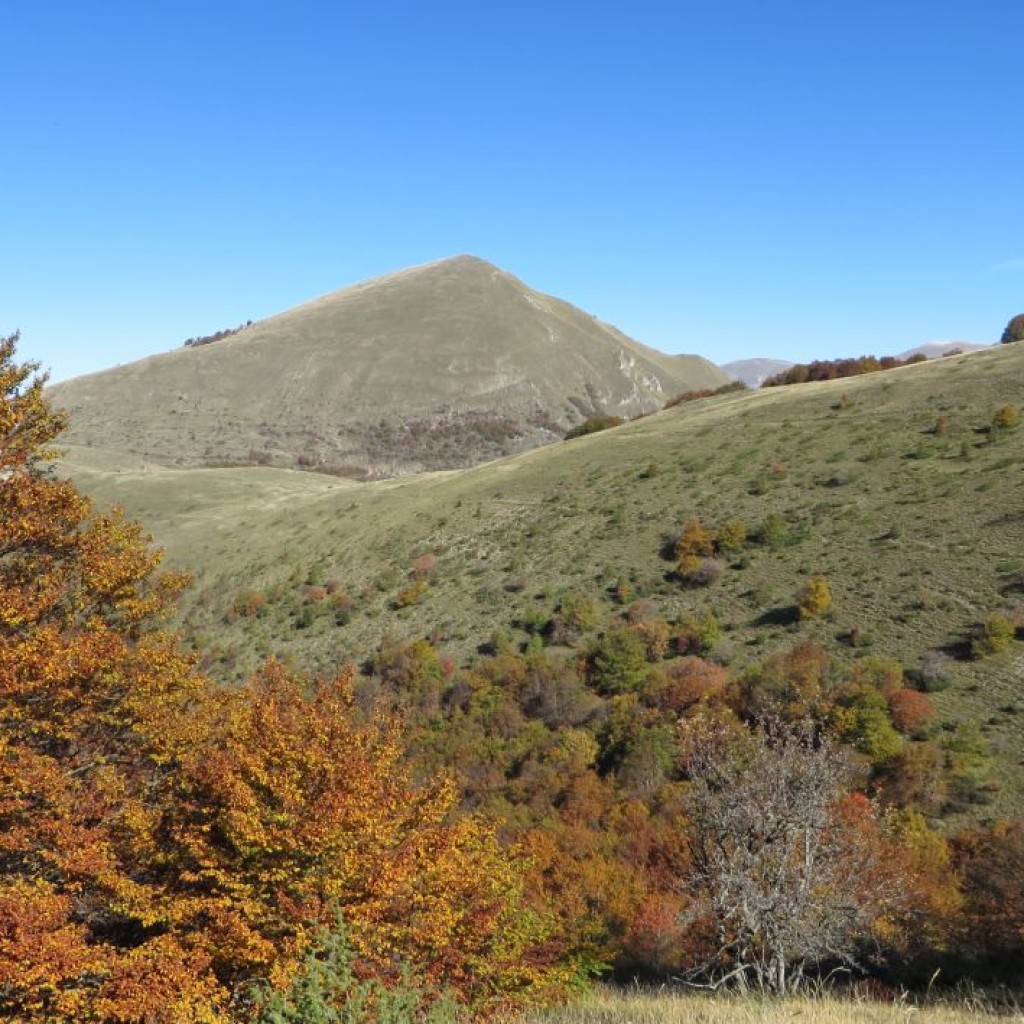 monte-lieto-22-10-2016-312