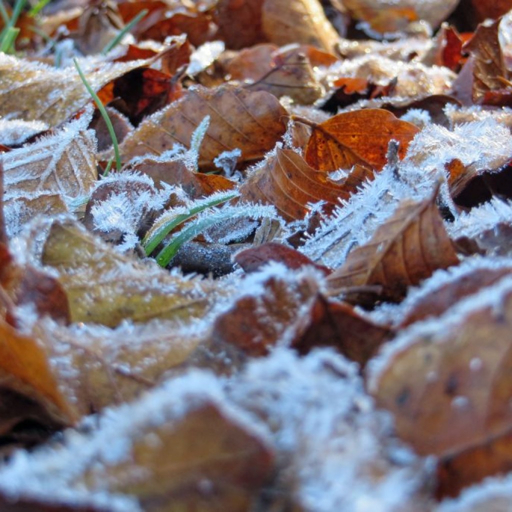 monte-lieto-22-10-2016-400