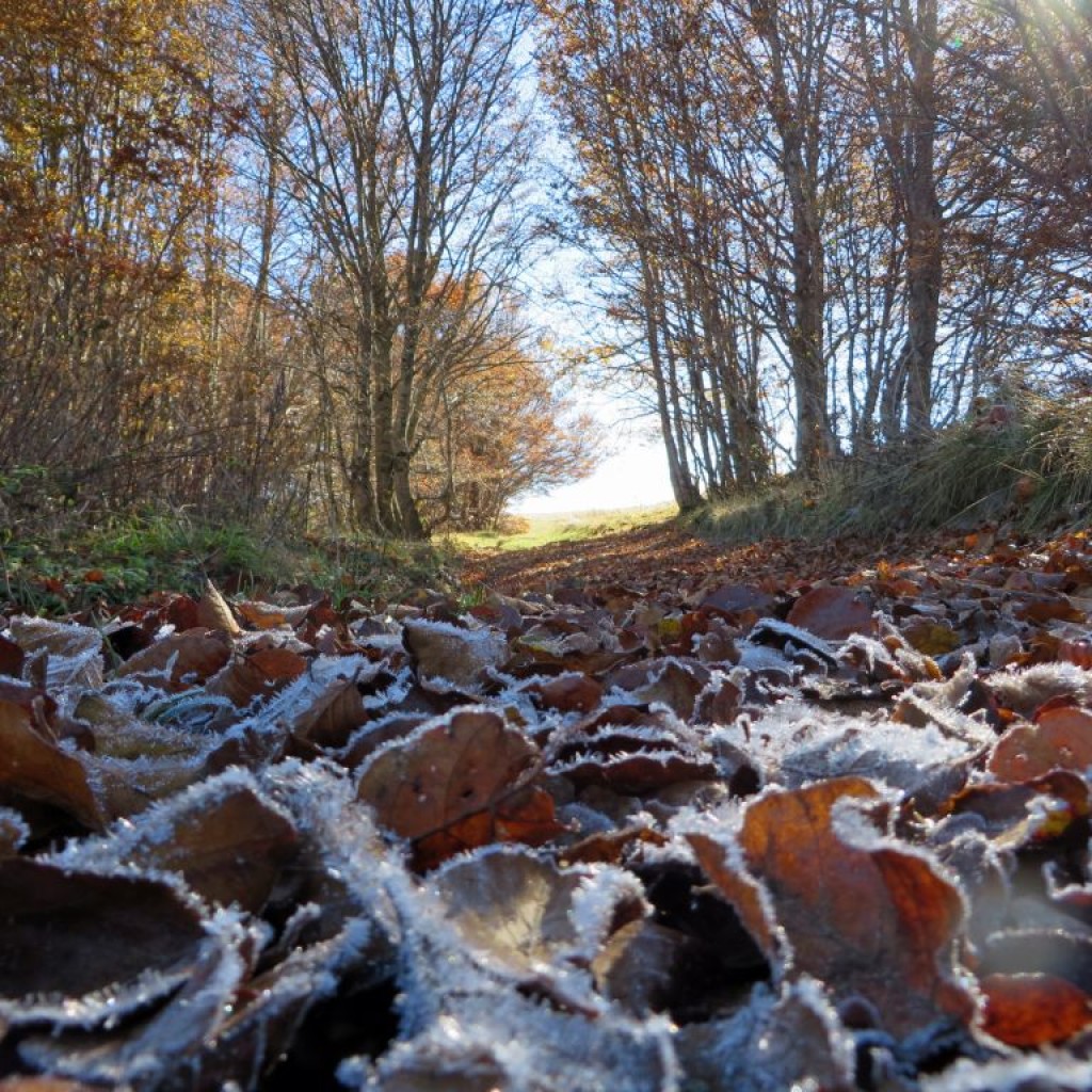 monte-lieto-22-10-2016-407