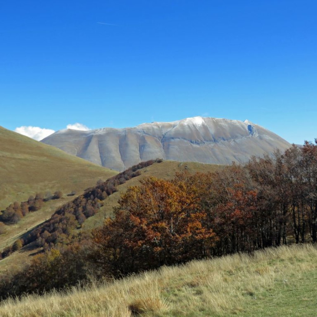 monte-lieto-22-10-2016-489