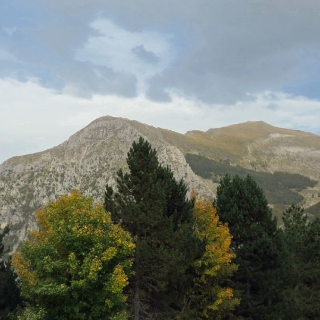 MONTE BOVE