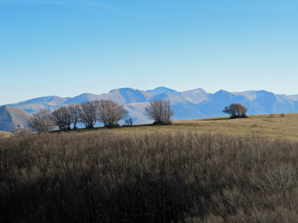 camorlo-24-12-2016-491