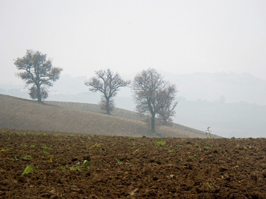 ciclocolli-04-12-2016-002