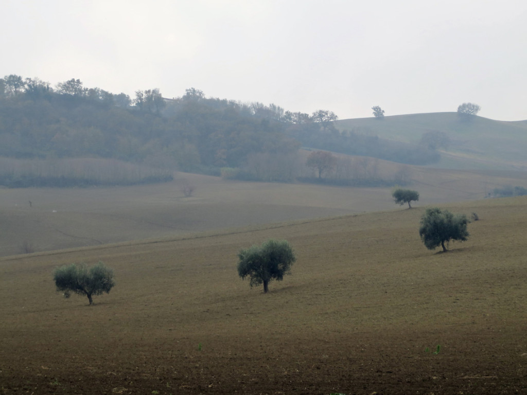 ciclocolli-04-12-2016-324