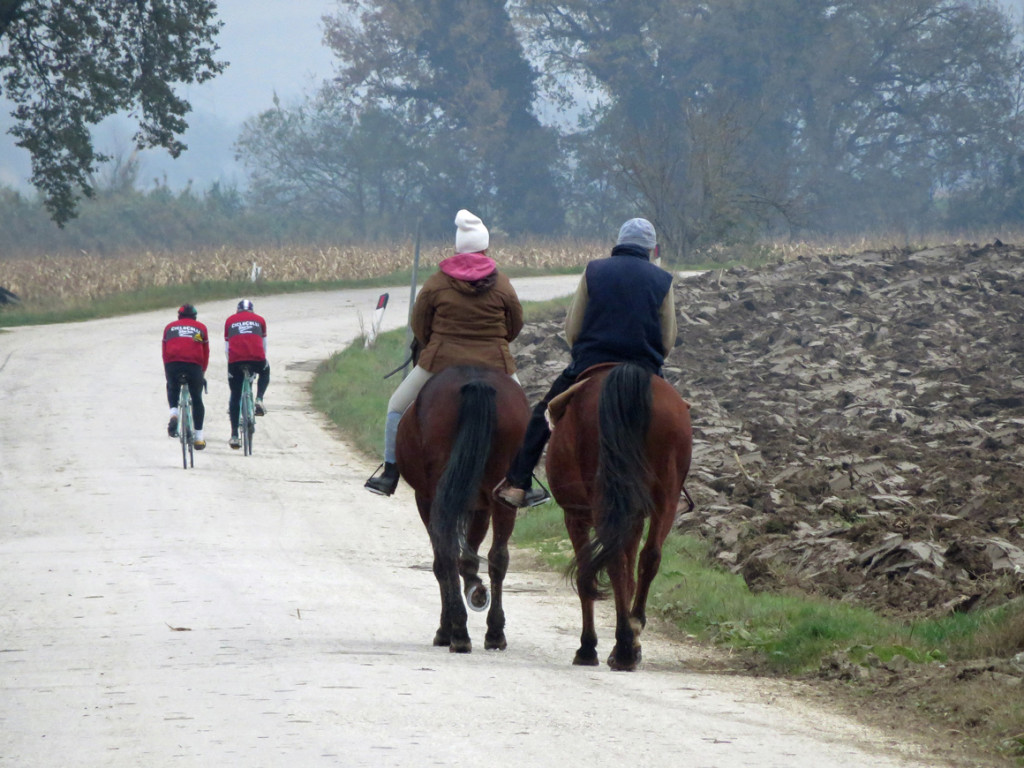 ciclocolli-04-12-2016-378