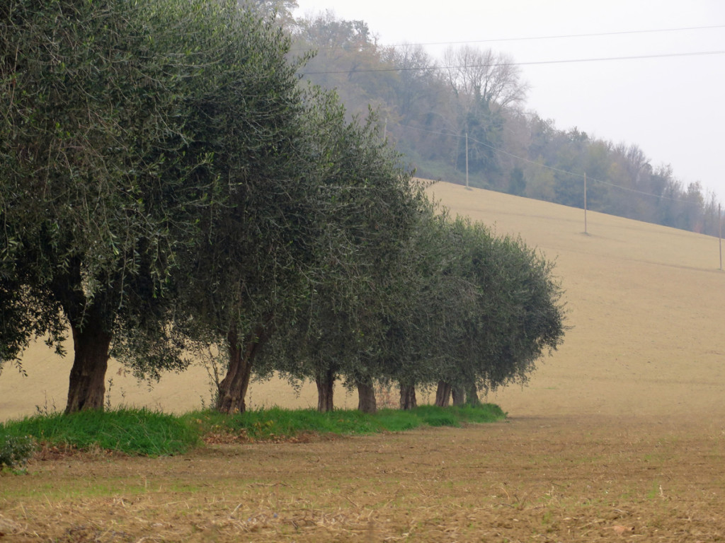 ciclocolli-04-12-2016-546