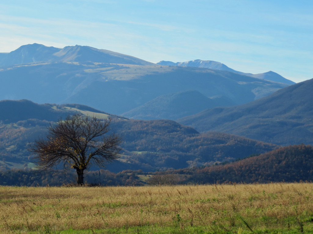 ciclocolli-27-11-2016-213