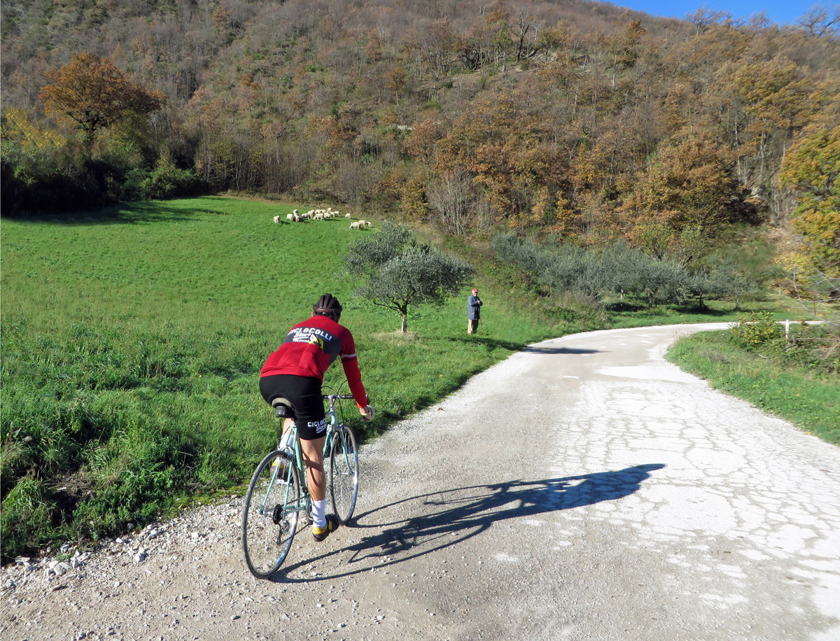 ciclocolli-27-11-2016-454