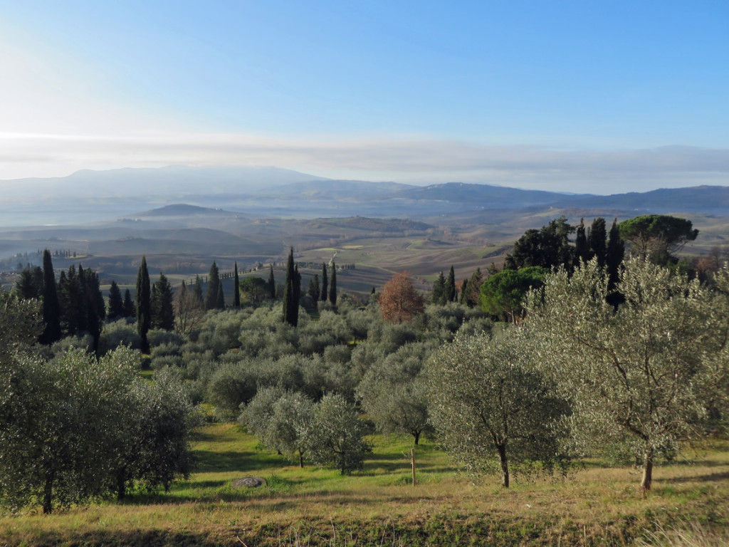 eroica-montalcino-28