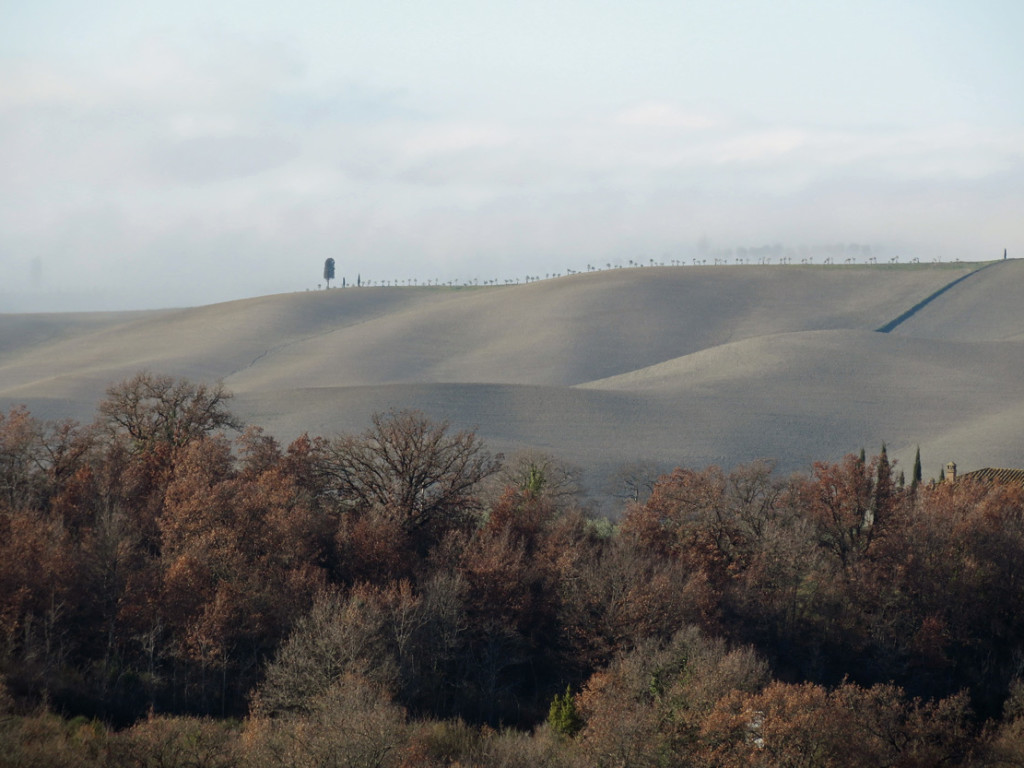 eroica-montalcino-367