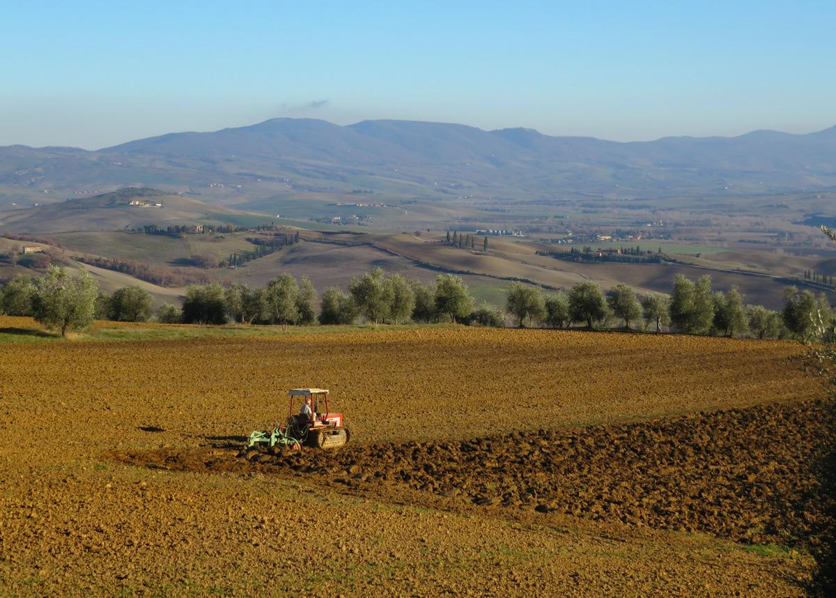 eroica-montalcino-451