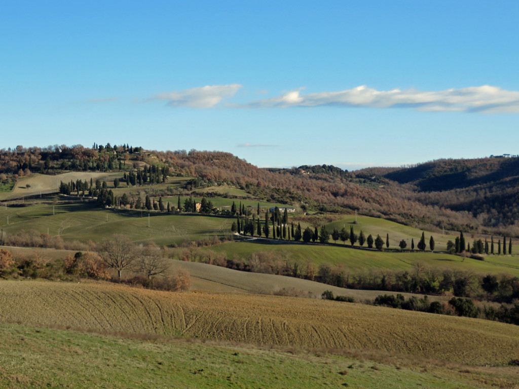 eroica-montalcino-683