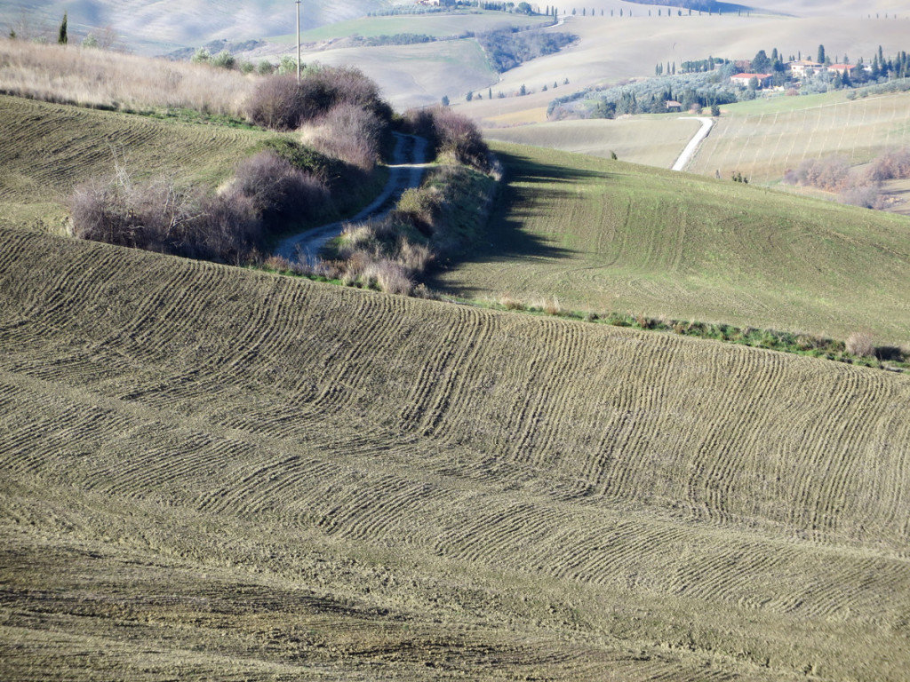 eroica-montalcino-728