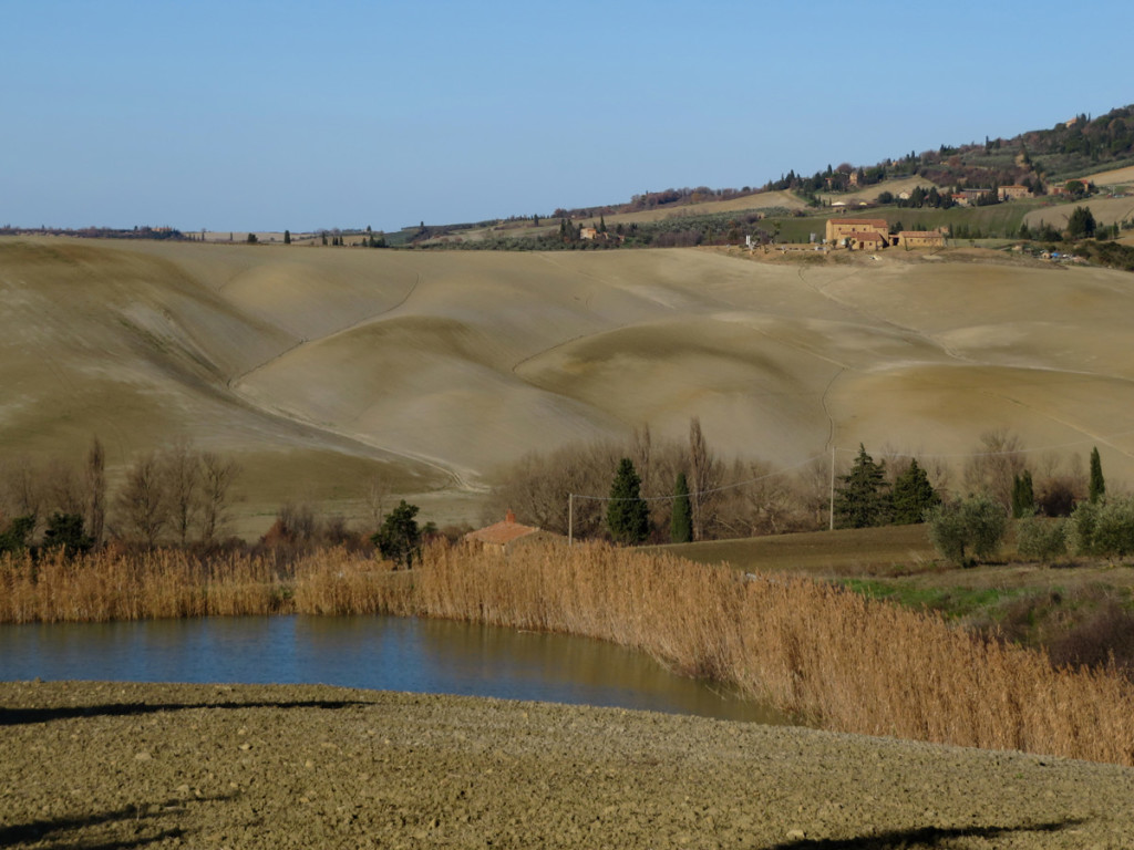 eroica-montalcino-741