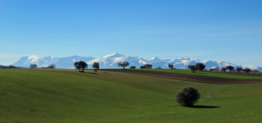 MONTI-SIBILLINI