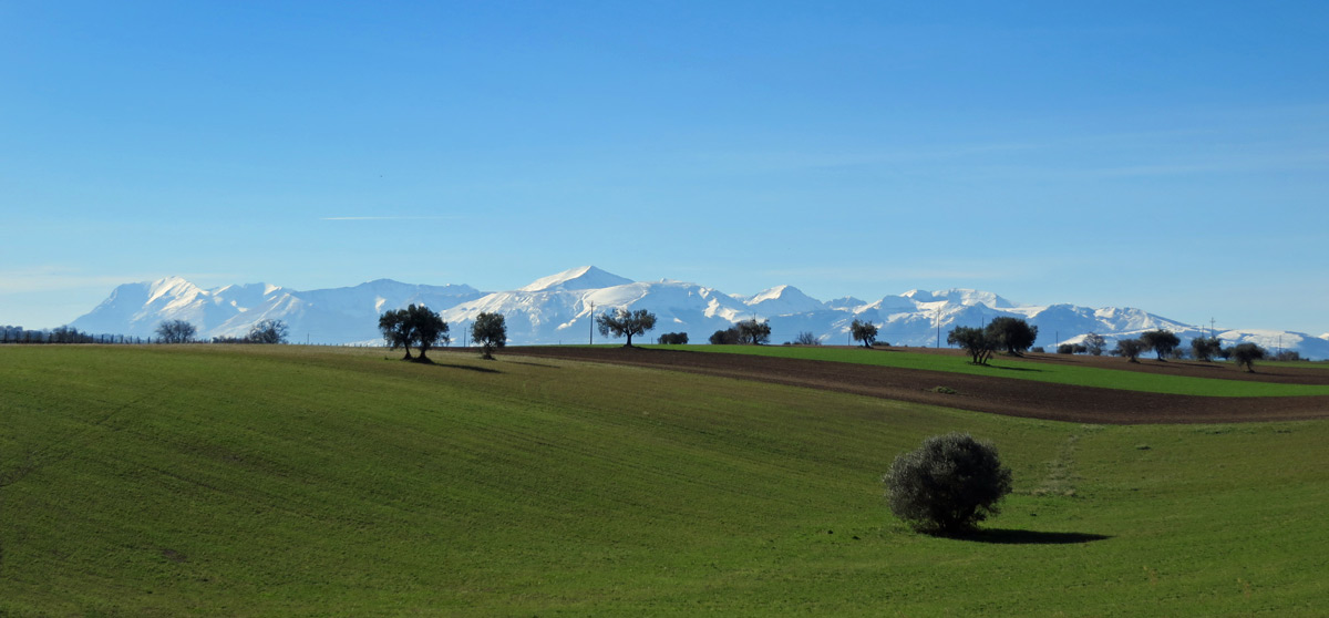 MONTI-SIBILLINI