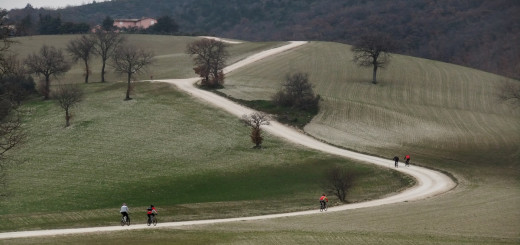 SAN-LORENZO-13.03.2011-006