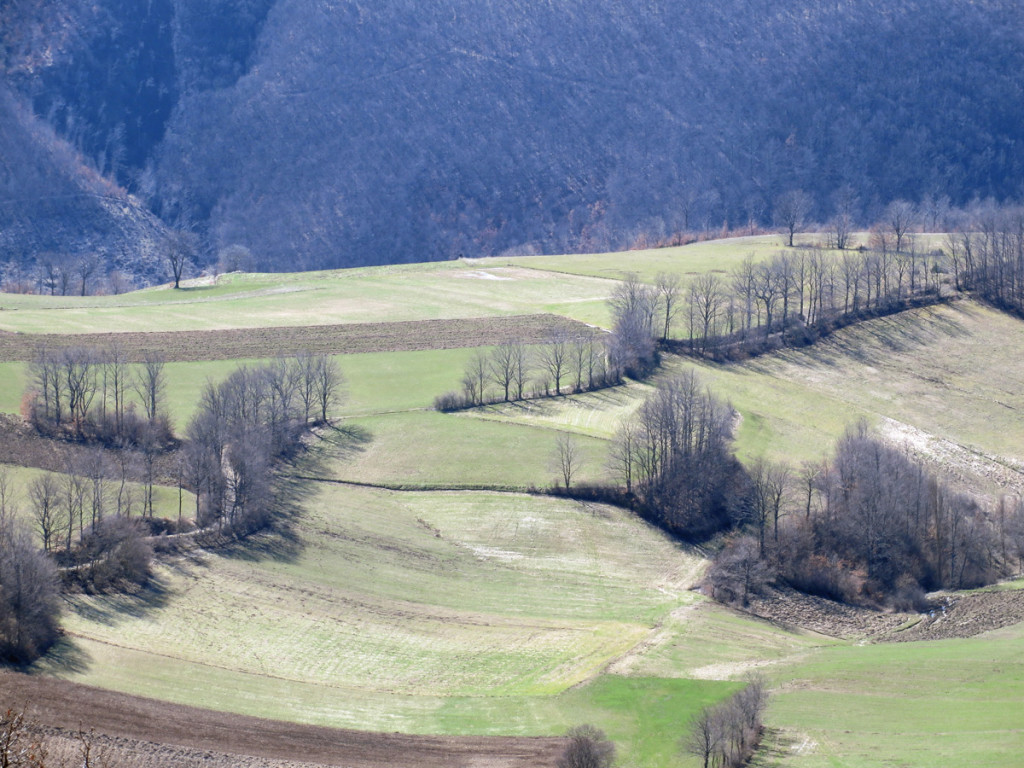 SELVAPIANA-11-03-2017-661