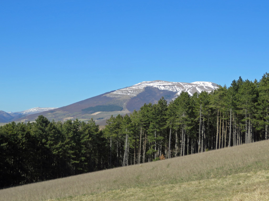 SELVAPIANA-11-03-2017-766