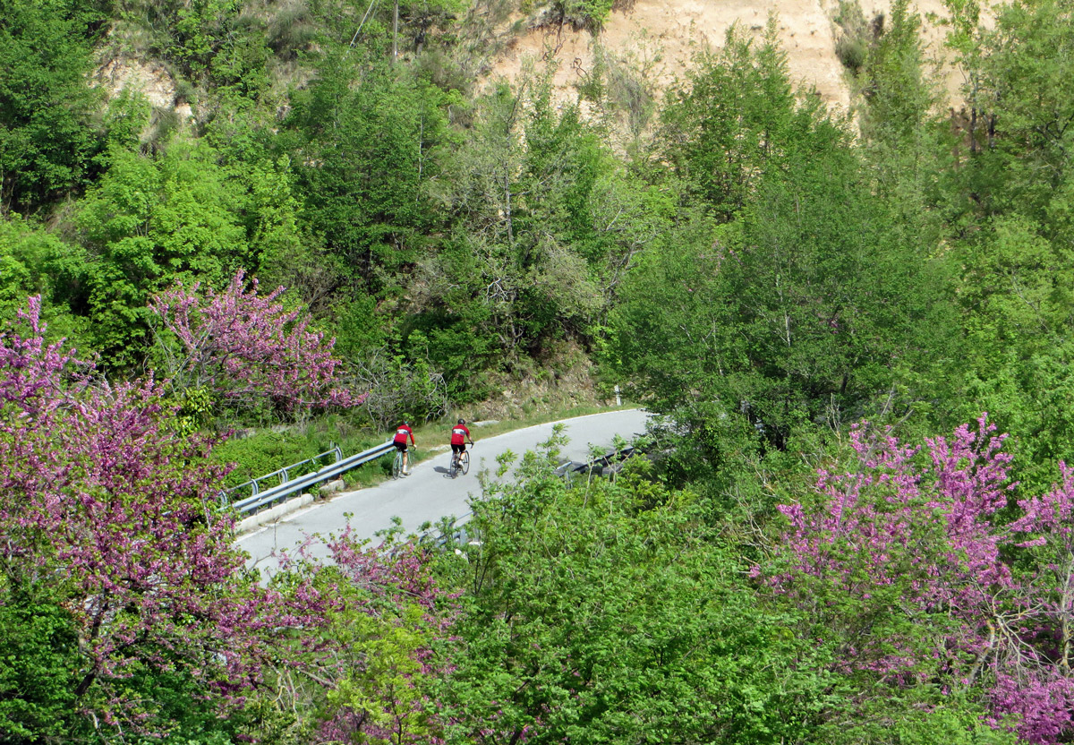 ciclocolli-15-04-2017-066