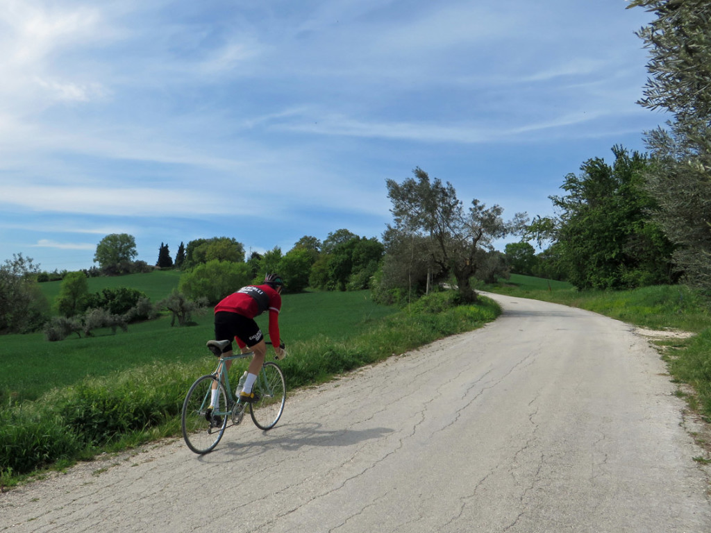 ciclocolli-15-04-2017-241