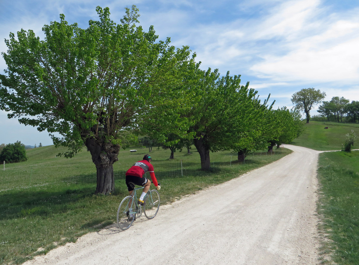 ciclocolli-15-04-2017-304
