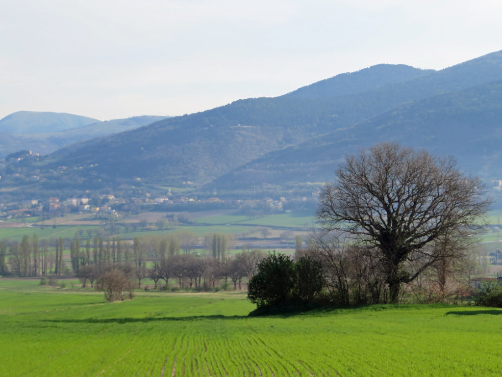 umbria-01-04-2017-1168