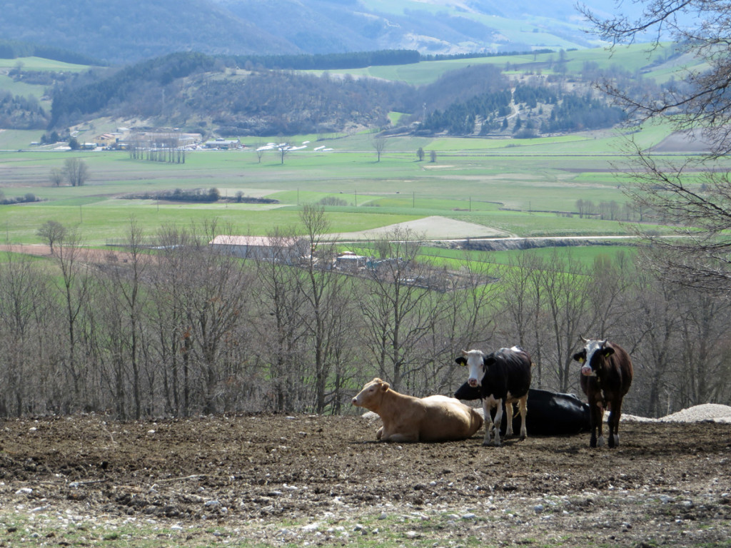 umbria-01-04-2017-343