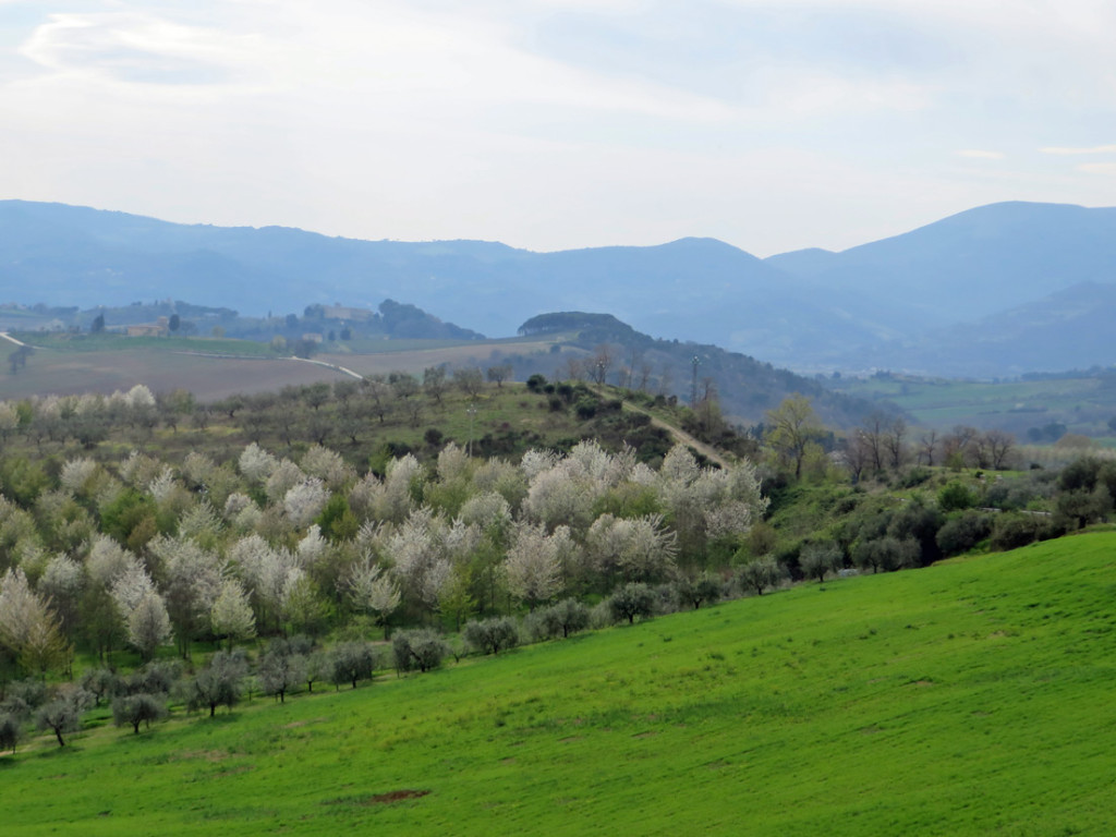 umbria-01-04-2017-990